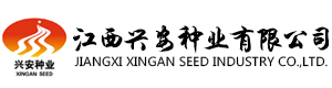 這是描述信息 這是描述信息
